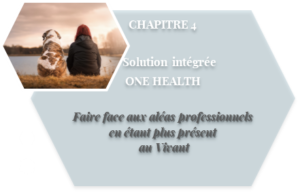 Illustration du chapitre 4 de la formation One Health